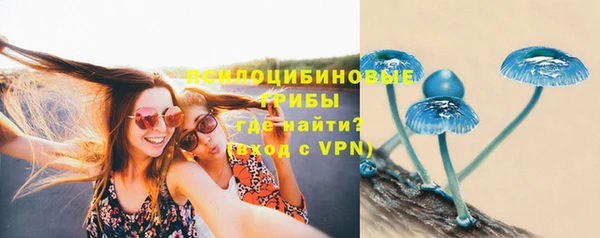 mdpv Алексин